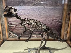 -国家自然博物馆