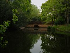 -上海滨江森林公园