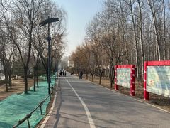 -马家湾湿地公园