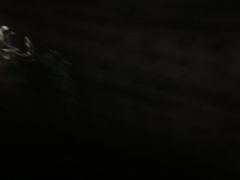 -茶百道(京溪店)