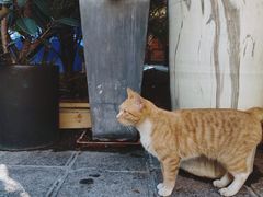 -知亘茶食
