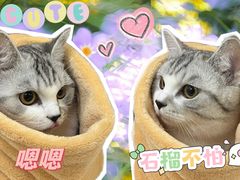 -美联众合动物医院·24h转诊中心