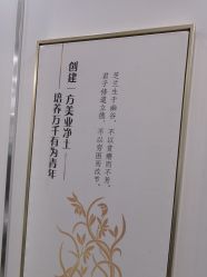 点击看大图 -镁连社·美联社