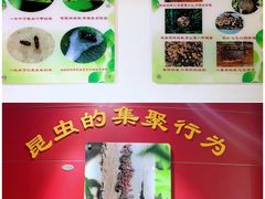 -上海昆虫博物馆