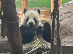 -临沂动植物园