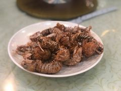 -鹏城人家海鲜酒家·23年老字号(较场尾店)