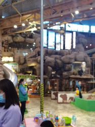 点击看大图 -卡通尼·Safari非洲探索乐园·生日会(金桥国际商业广场店)