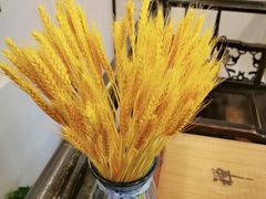 -莱仪堂艾灸经络养生馆(宜川路店)
