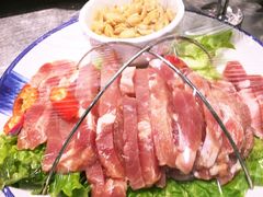 -邵年鸽(杨庄店)