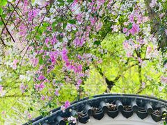 -深圳国际园林花卉博览园