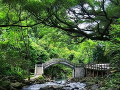-广州市石门国家森林公园
