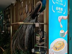 -雀蓝川菜(星悦汇店)