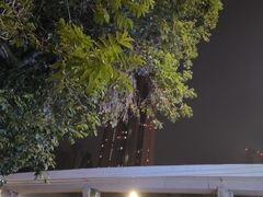 -汪记鲜鱼糊汤粉(沈阳路总店)