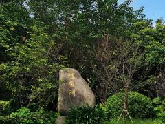 -鲤鱼洲酒店港鲤咖啡厅