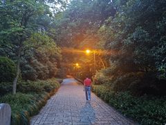 -杭州植物园