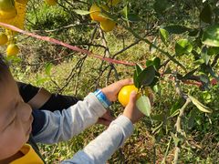 -武汉开心果园农业发展有限公司