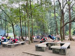 -南宁良凤江国家森林公园