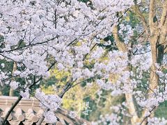 -杭州上天竺法喜讲寺