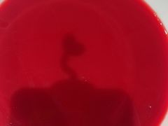 -洞子口重庆鲜货火锅(楚翘城旗舰店)