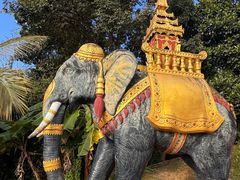 -品德宏·孔雀宴的发源地(金塔园店)