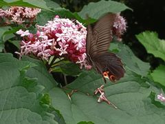 -环城公园-琥珀潭