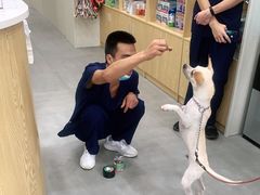 -爱佳宠物中心医院24H·CT·骨外科·猫专科(瑶海万达店)
