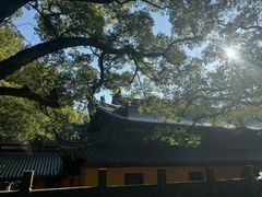 -普陀山风景名胜区-法雨禅寺