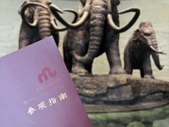 -大庆市博物馆