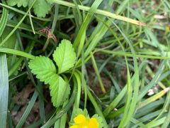 -艾溪湖湿地公园