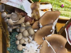 -手选潮汕鲜活牛肉火锅(二七广场店)