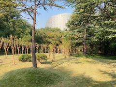 -上海科技馆(地铁站)