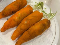 -丁老爷子苏香圆