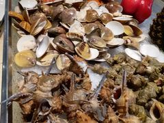 -北海银滩一号国际会议中心酒店