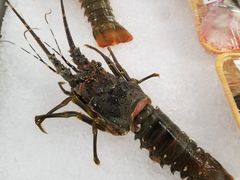 -盒马鲜生(岭南新世界店)