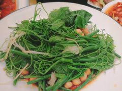 -巴依老爷新疆美食(常营店)