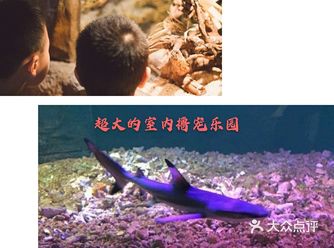 超大型室内动物园～让孩子开心撸宠啦