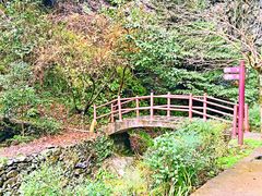 -夏霖九天银瀑风景区