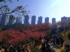 -重庆彩云湖湿地公园
