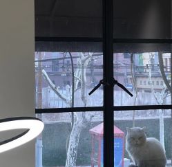 -本小姐美学·半永久纹眉野生眉