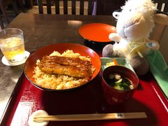 -料亭菊水楼