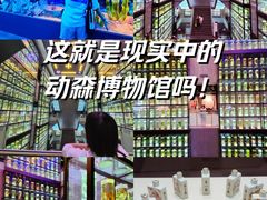 -广东中医药博物馆