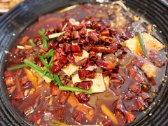 -肘子酥·天津菜·特色捞面(德云社店)