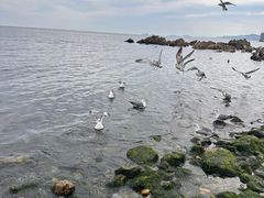 -银沙滩浴场