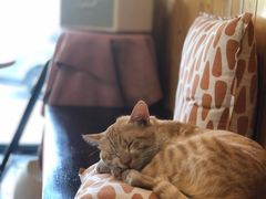 -251#coffee roasters(沿河东路店)