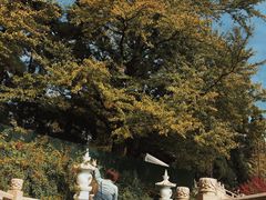 -径山寺