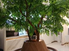 大堂-CoCo都可(中联广场店)