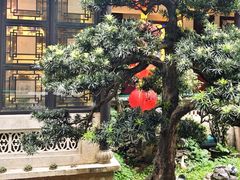 -北园酒家(小北路店)