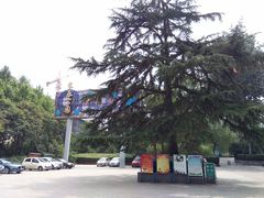 -西安市长乐公园