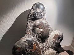-中国地质博物馆