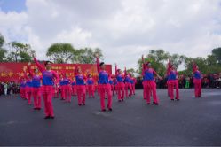 -金孔雀舞蹈学校